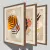 CONJUNTO 3 QUADROS - FOLHAGENS, FORMAS E TEXTURA - loja online