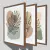CONJUNTO 3 QUADROS - ORGANICO COM DESENHO DE FOLHAGENS - loja online
