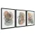 CONJUNTO 3 QUADROS - ORGANICO COM DESENHO DE FOLHAGENS - comprar online