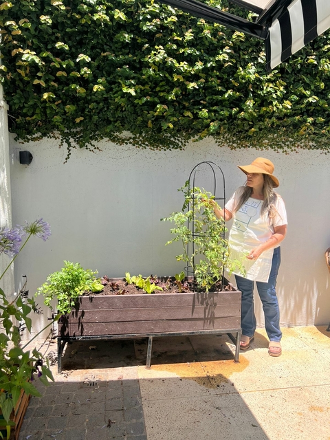 Tutor de Hierro - comprar online