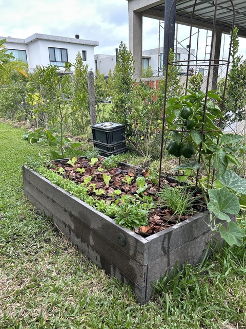 EcoBancal (L) - comprar online