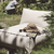 Sillones y fundas