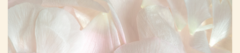 Banner de la categoría PERLA 