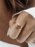 Anillo Erika en internet