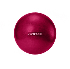 PELOTA PILATES 25 CM REFORZADA en internet