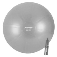 ESFERODINAMIA 65 CM REFORZADA CON INFLADOR - comprar online