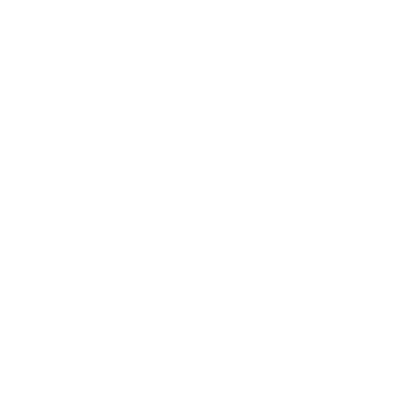 Ethical Bear