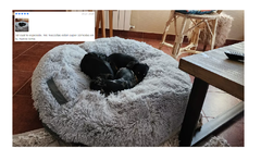 Puff Camita Nido Mascotas - Gris Claro - tienda online