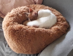Imagen de Puff Camita Nido Mascotas - Canela