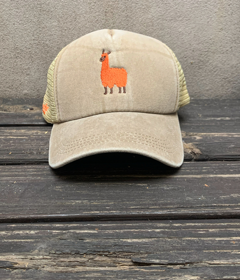 Llama