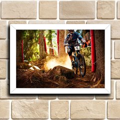 BIKE / BICICLETA