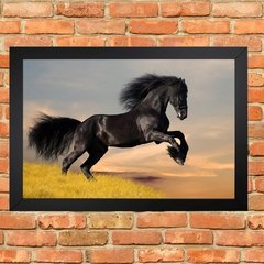 Cavalo Negro - comprar online