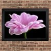Rosa - comprar online