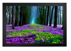 Jardim Colorido - Digital Quadros