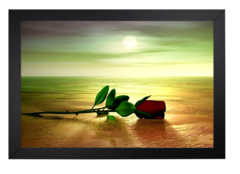 Rosa e Sol - Digital Quadros