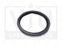 Retentor do Cubo da Roda Dianteiro C300
