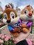 Set de peluches Tic & Tac Chip & Dale 30 aniv