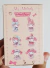 Sanrio Blind box sorpresa Miniso en internet