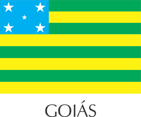 Bandeiras de Estados 5,5x3,5cm