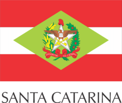 Bandeiras de Estados 5,5x3,5cm