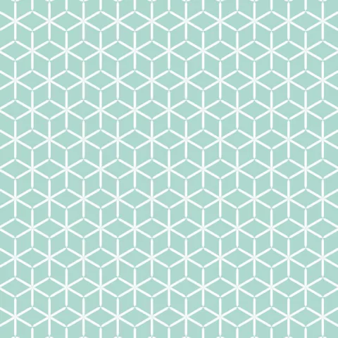 PAPEL DE PAREDE GEOMÉTRICO #13