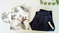 CONJUNTO DINOSSAURO