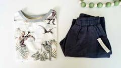 CONJUNTO DINOSSAURO - comprar online