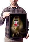 Quadro Mandril Babuíno Animal Selvagem Decoração