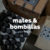Banner de AR MATE