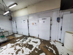 IMPORTANTE FRIGORIFICO y CARNICERIAS - REMATE EL JUEVES 29/9/22 - comprar online