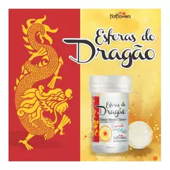 HOT BALL DRAGÃO