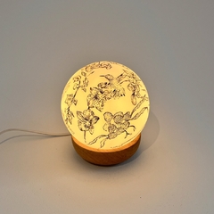 Dibujo con luz chico