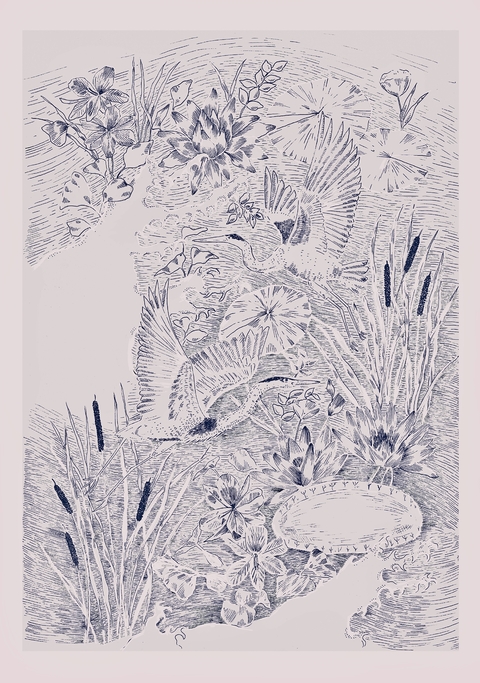 Serigrafía GARZAS - comprar online