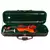 Violino 4/4 Eagle VE 245