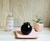 Difusor Bocha Grande + Varillas - tienda online