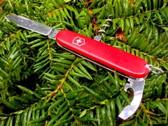 Cortaplumas Victorinox Waiter 9 Usos Camarero Mesero Navaja en internet