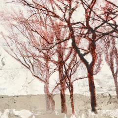 ALESSIO APRILE - Rusty Trees II - 1AI4747