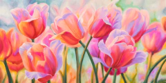 CYNTHIA ANN - Tulips in Wonderland - 2AN3716