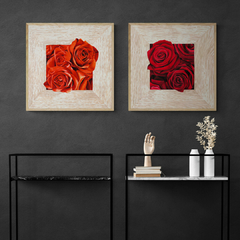 PIERRE BENSON - French Roses II - 1BN1369