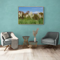 Hierbas pampeanas - comprar online