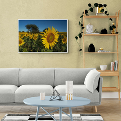 Campo de girasoles - comprar online