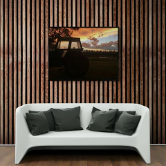 Tractor al atardecer, Buenos Aires - comprar online