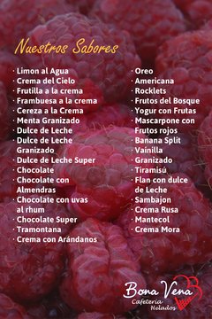 Helado Artesanal 2kg PROMO - Bona Vena
