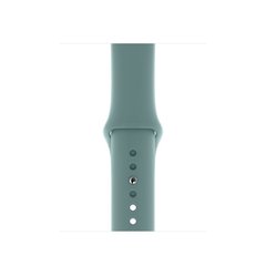 Pulseira esportiva cacto - comprar online