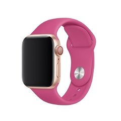 Pulseira esportiva pitaia - comprar online