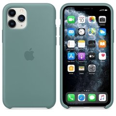 Capa de silicone para iPhone 11 Pro Max Cacto na internet