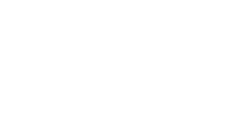 Insanas e Santas Shoes