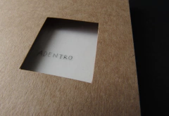 Adentro * Sofía Palomino en internet