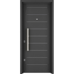 PUERTA DOBLE CHAPA INYECTADA REFORAZADA