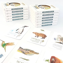 Flashcards